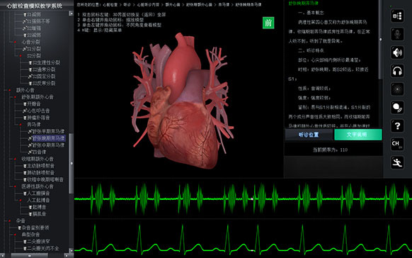 胸、腹部检查智能模拟训练系统