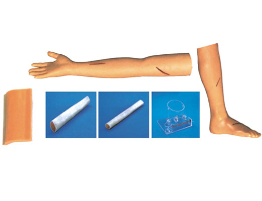 外科综合技能训练组合模型